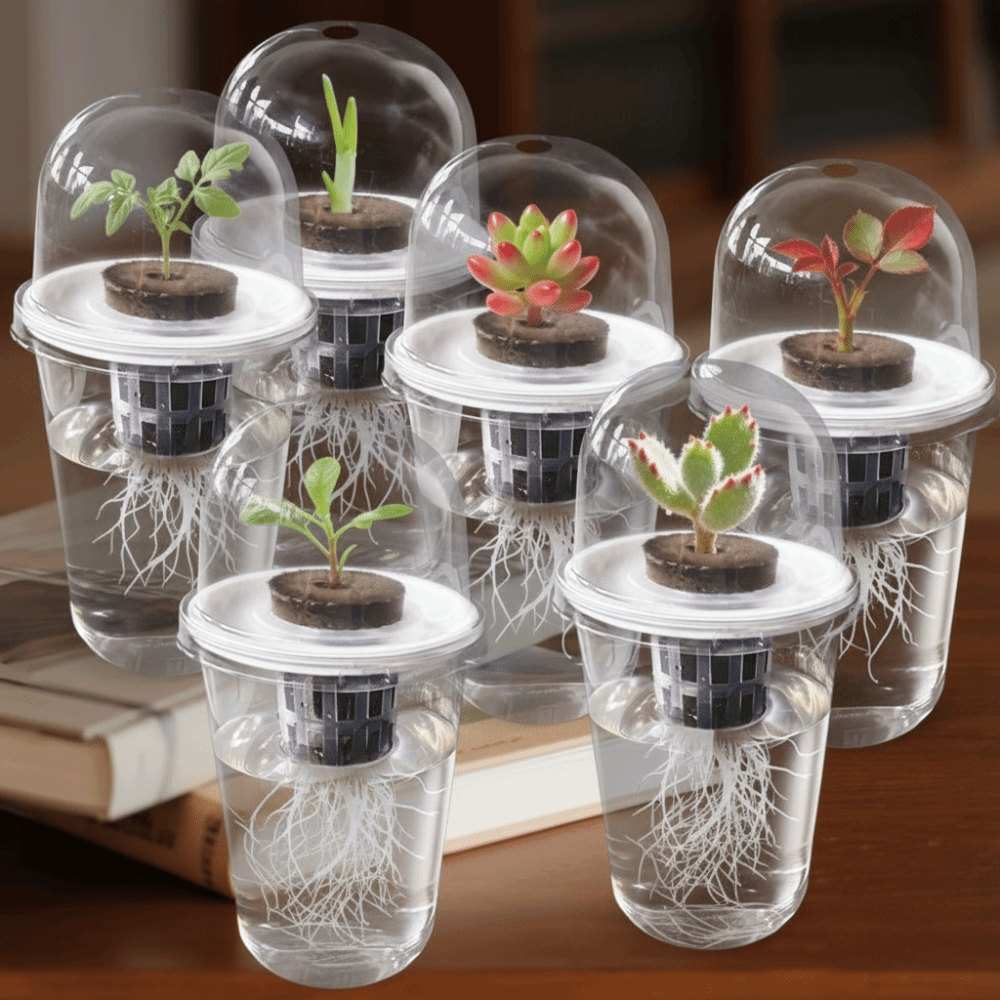 Seed Starter Tray - 1-5 unidades Copos de Germinação Transparentes