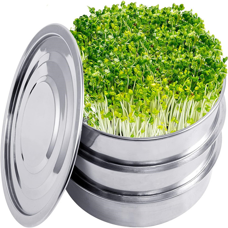 Hydroponic Kit - Kit de germinação de plantas em