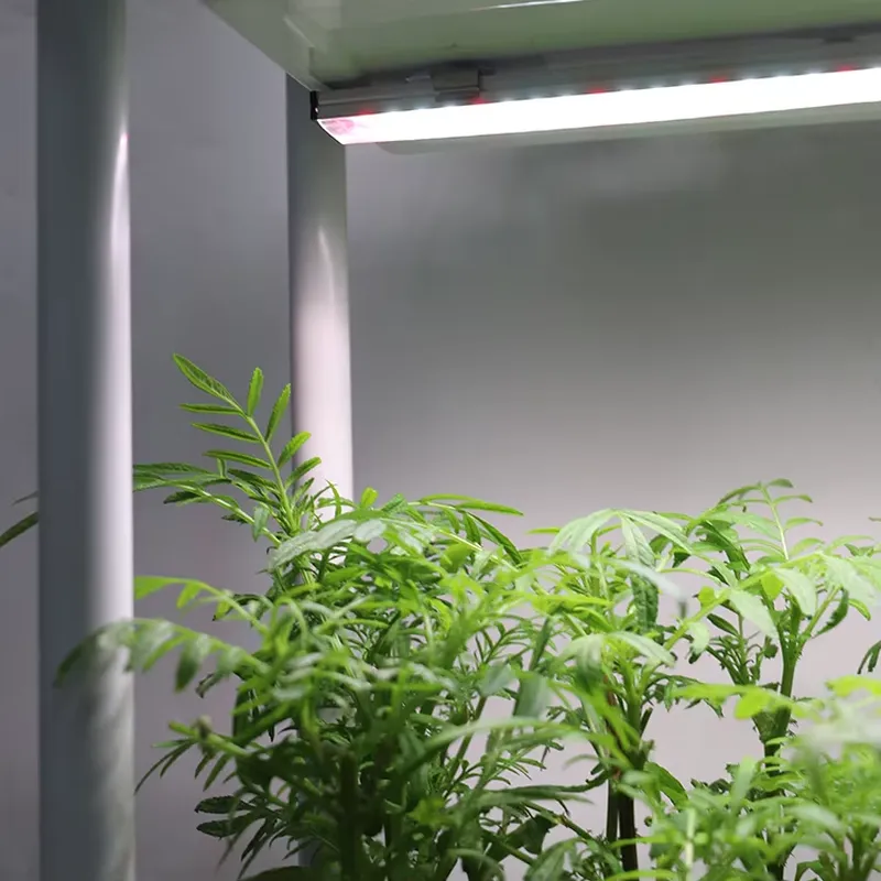 Jardim Vertical Móvel de 3 Nív - Indoor Herb Garden avaliação e preço