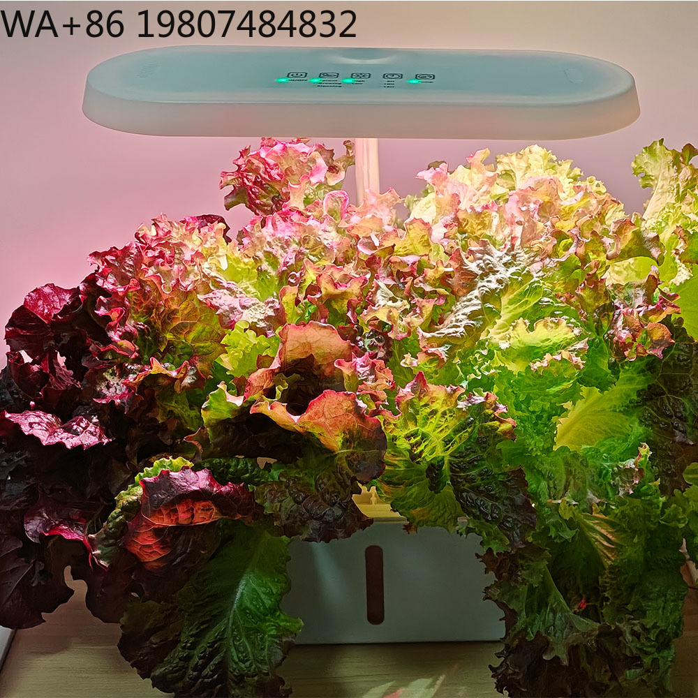 Kit de Cultivo Hidropônico com - Hydroponic Kit avaliação e preço