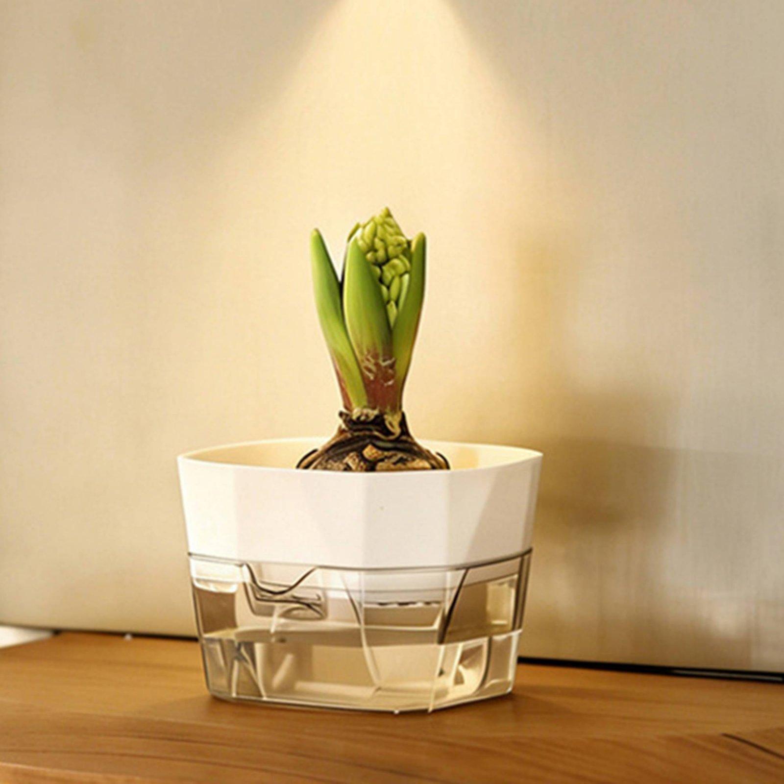 Vaso Hidropônico de Duas Camad - Self Watering Planter avaliação e preço