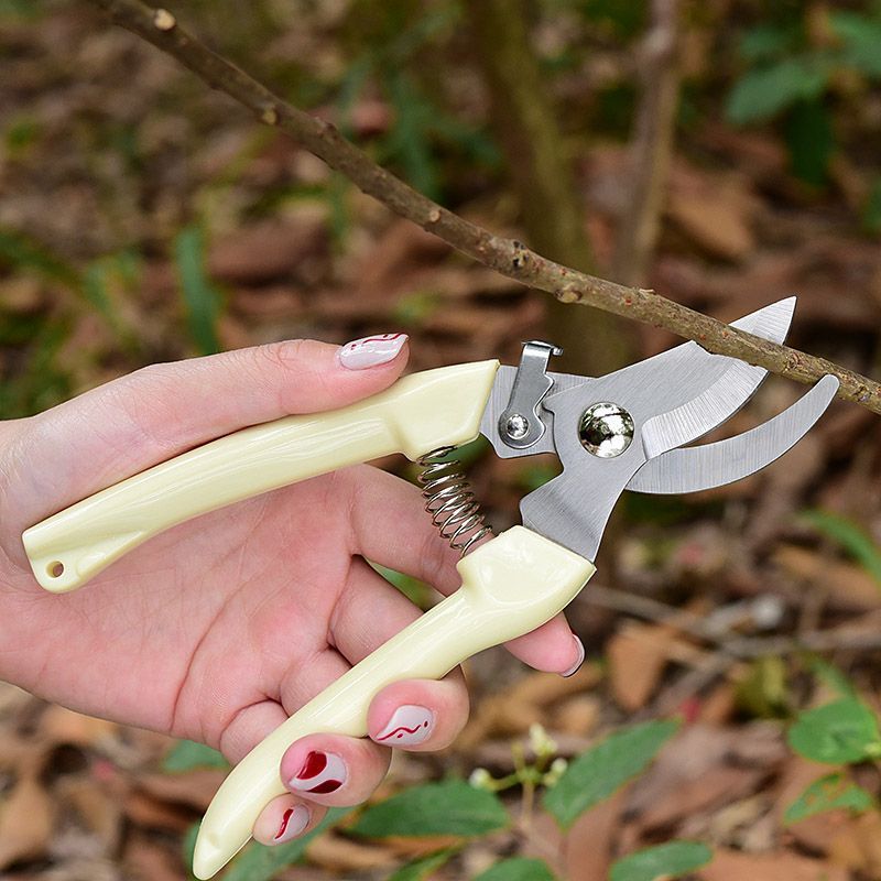 Tesoura de Poda para Jardim qu - Pruning Shears avaliação e preço