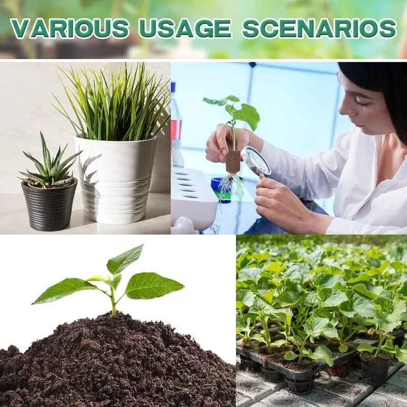 Kit de Esponjas para Germinaçã - Hydroponic Kit avaliação e preço