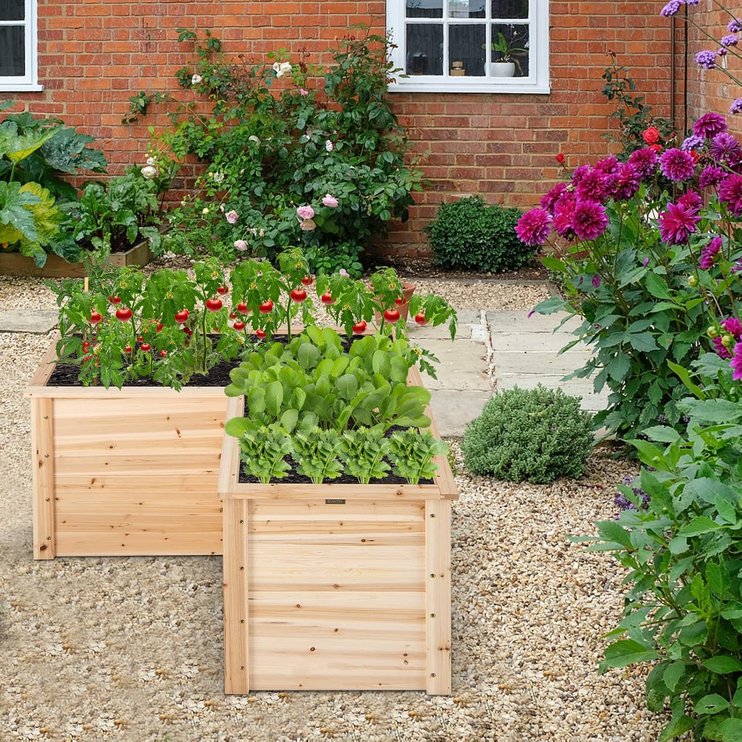 Canteiro Elevado de Madeira Ma - Raised Garden Bed avaliação e preço