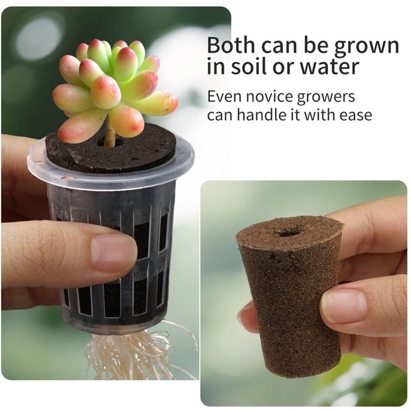 [ABFI!] Kit de sistema de cult - Hydroponic Kit avaliação e preço
