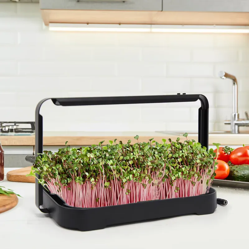 Bandeja Hidropônica para Culti - Hydroponic Kit avaliação e preço