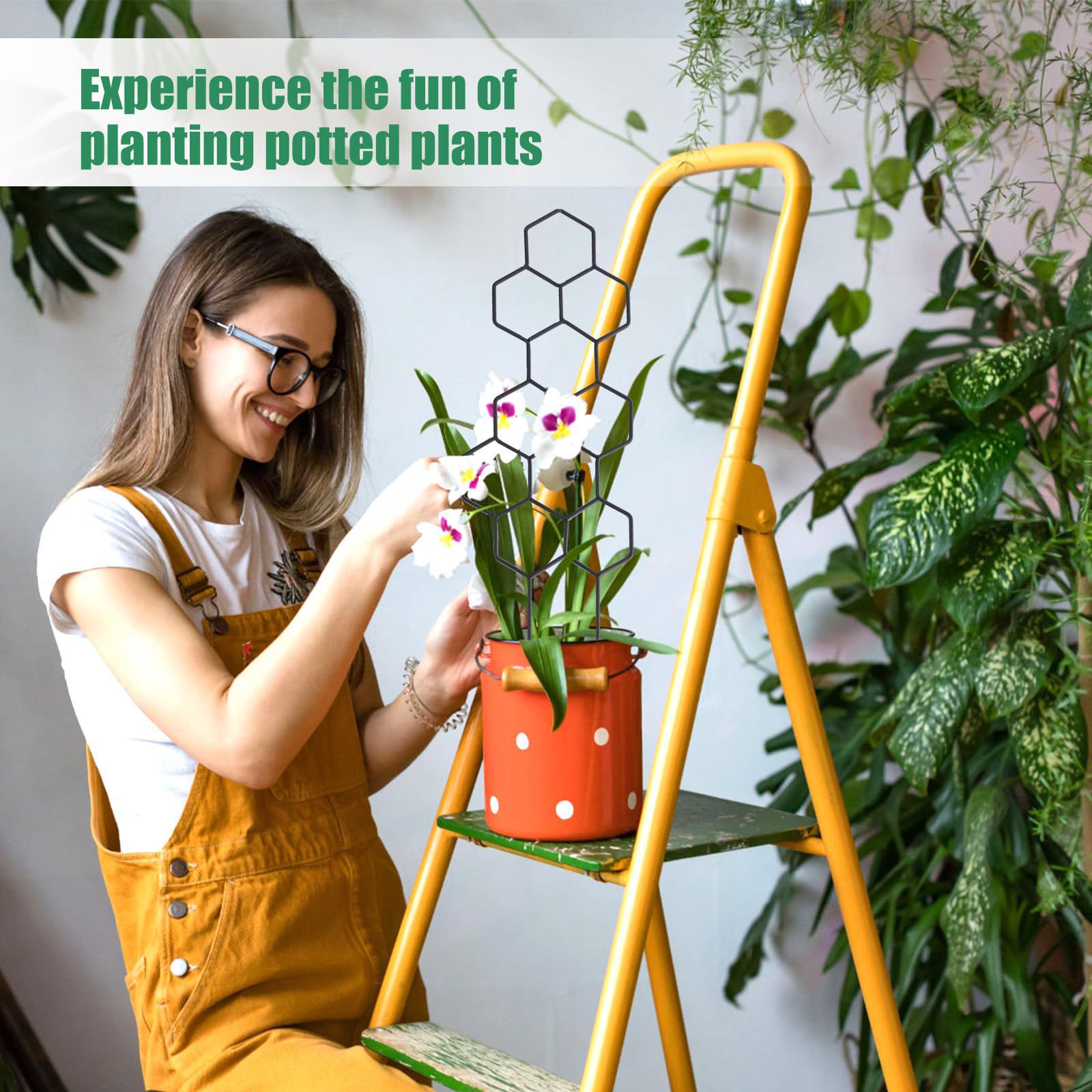 1PC Treliça para Plantas com D - Indoor Herb Garden avaliação e preço