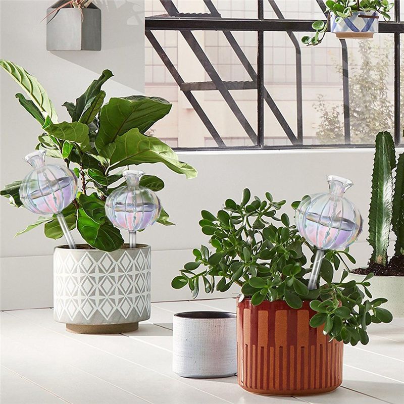 AA94 – Bolhas de rega para pla - Self Watering Planter avaliação e preço